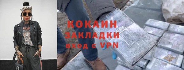 шишки Арсеньев
