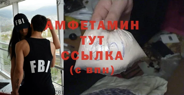 шишки Арсеньев