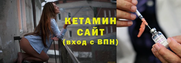 шишки Арсеньев