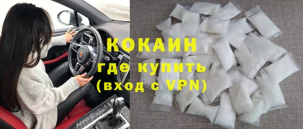 шишки Арсеньев