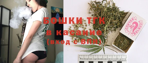 шишки Арсеньев