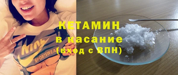 шишки Арсеньев