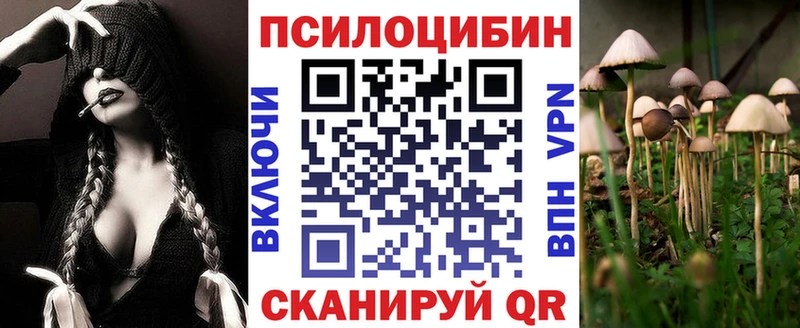 магазин    Луховицы  Галлюциногенные грибы прущие грибы 